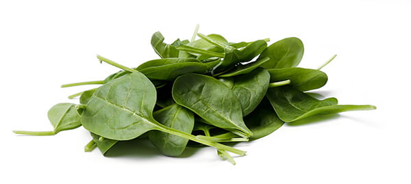 Spinach is rich in many nutrients