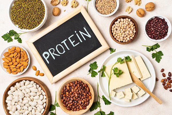 Lean protein foods you should eat to lose weight loss